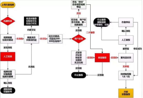 掌握平台规则，实现轻松变现