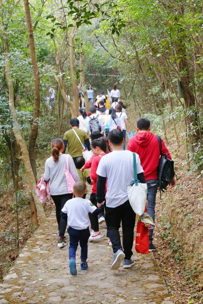 逃离城市，和孩子来一场森林治愈！