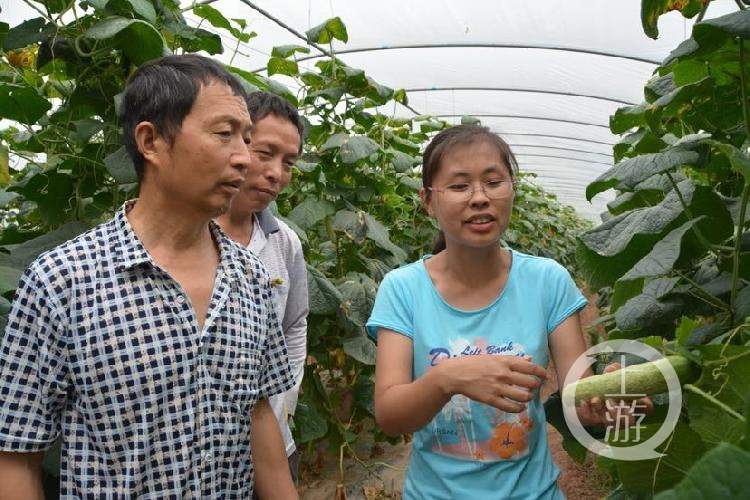 拿出嫁妆建大棚帮村民增收她获评“最美基层高校毕业生”