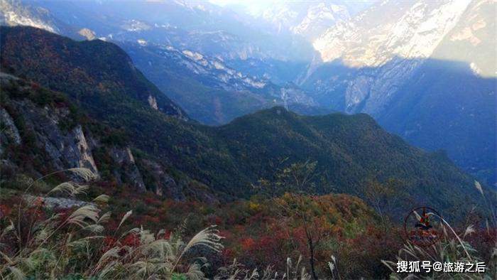 重庆最高的山,在重庆与湖北交界处,不是歌乐山