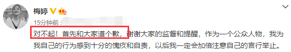 梅婷再发文为脚踩飞机显示屏致歉：对不起，我感到十分愧疚和自责