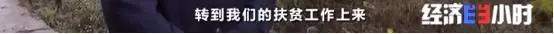 一只鸡卖138元还供不应求！“鸡司令”带领500多人脱贫！啥秘诀？