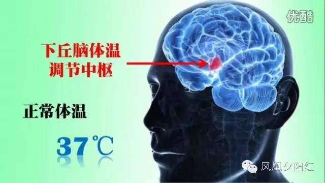 【养老护理系列十六】|<药理知识普及>氯丙嗪对体温的影响