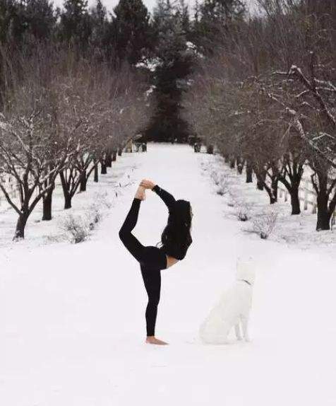 会玩！雪地瑜伽悄然流行，加拿大人厉害了！