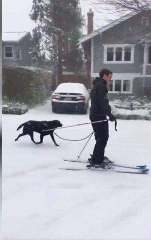 会玩！雪地瑜伽悄然流行，加拿大人厉害了！