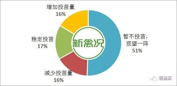 半数养户表示春节后暂不投苗，快速类国鸡止跌回升【禽听要闻】