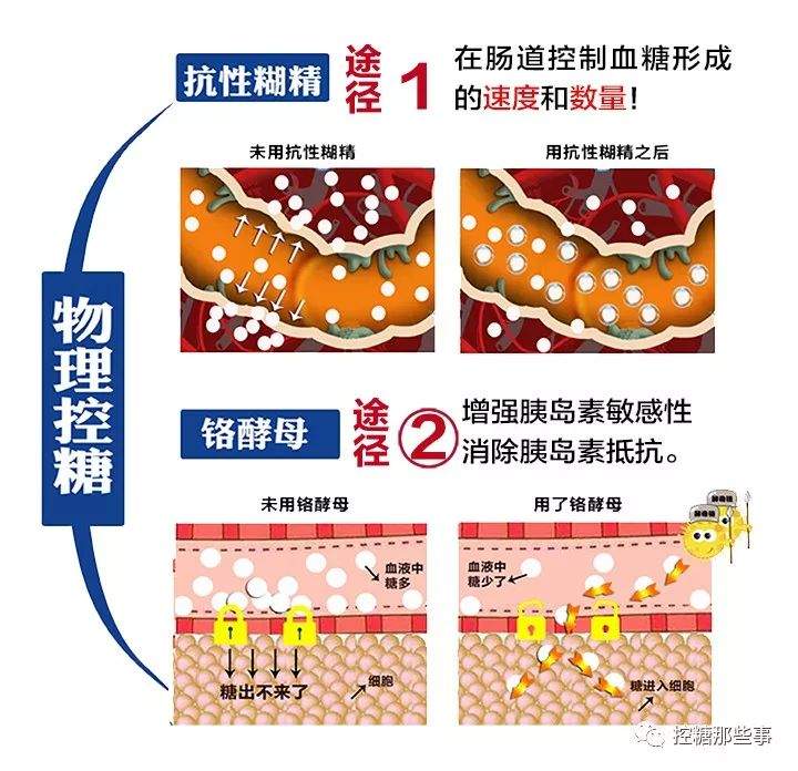 糖尿病，澳洲科学家新发现：或能解除糖尿病人频繁用药之苦！