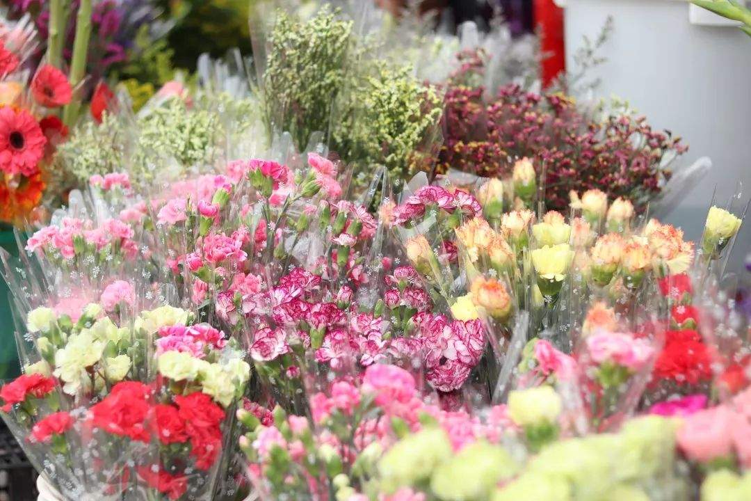 逛花市，了解这个……今年“鼠”你的花最靓~