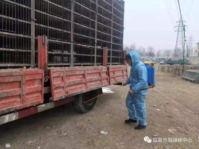 「直击」疫情防控，临夏在行动