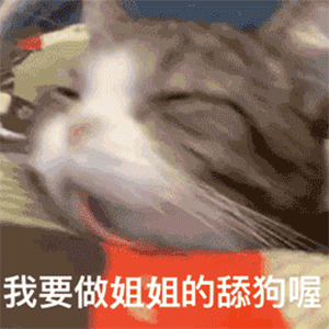 你是我全世界最喜欢的猪