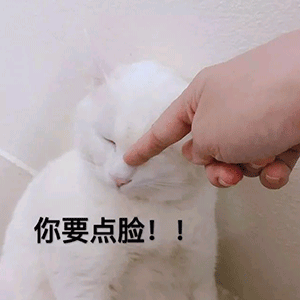 你是我全世界最喜欢的猪