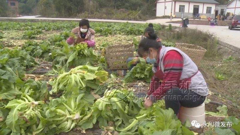 永川各地持续推出“硬核“防控措施