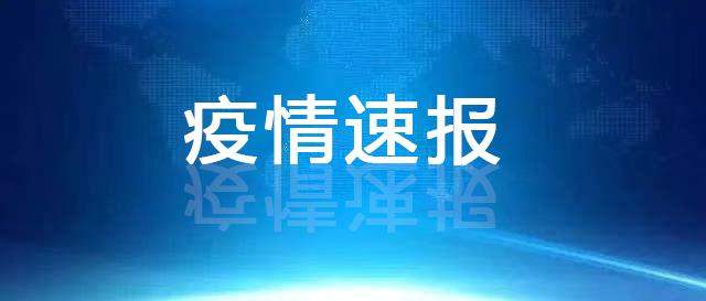 扩散|双鸭山市新增9例确诊病例行动轨迹图