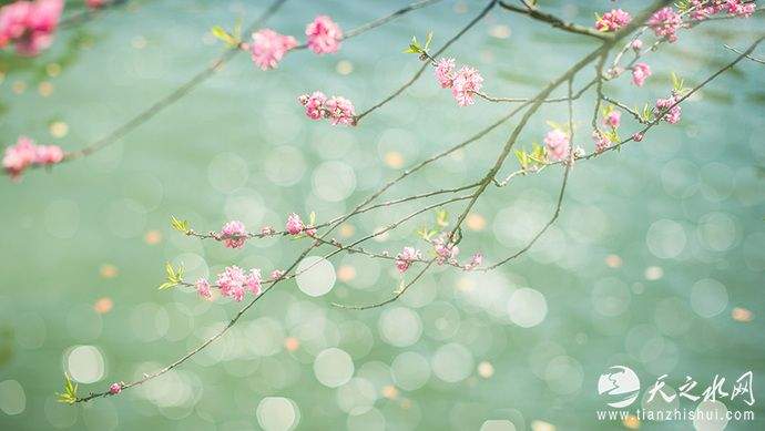 杨迎勋：春雨