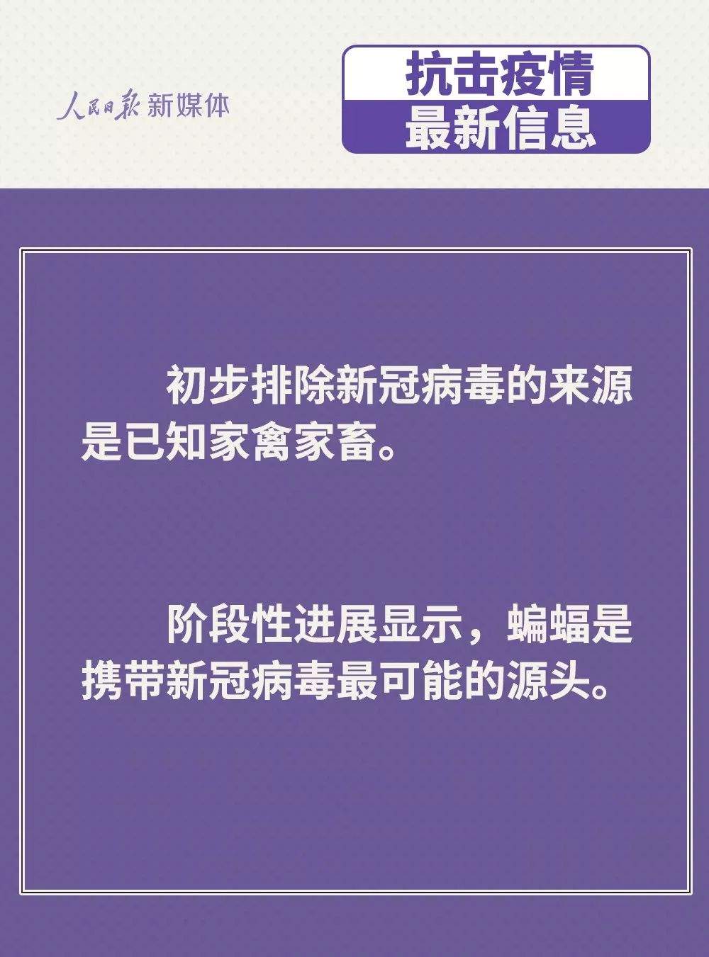 鸡鸭会传播新冠病毒吗？血浆治疗是否有效？抗疫最新消息来了