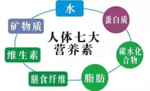 专家教你如何提高免疫力！