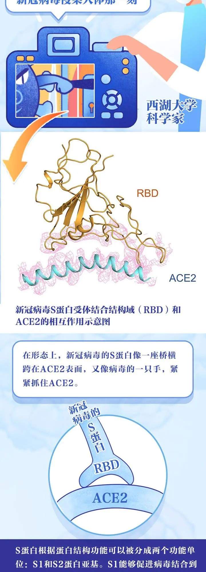 第一批疫苗已产生抗体