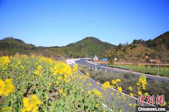 杭州千岛湖花开正盛春渐浓