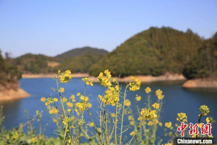 杭州千岛湖花开正盛春渐浓