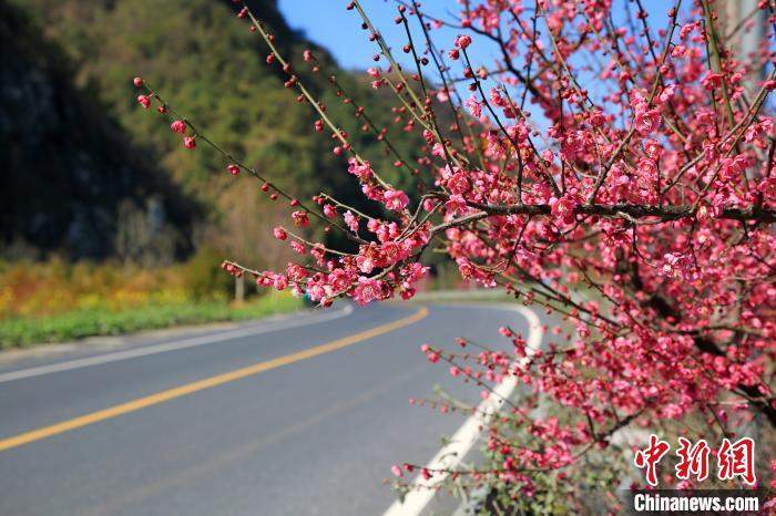 杭州千岛湖花开正盛春渐浓