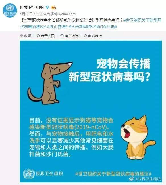 宠物狗身上检测出新冠病毒？专家呼吁：请大家保持冷静！