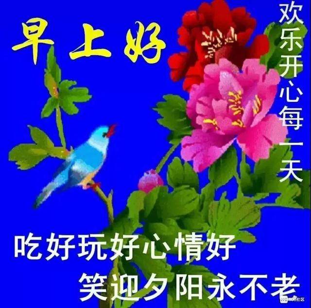 真心，要的是真诚；感情，要的是回应，早安