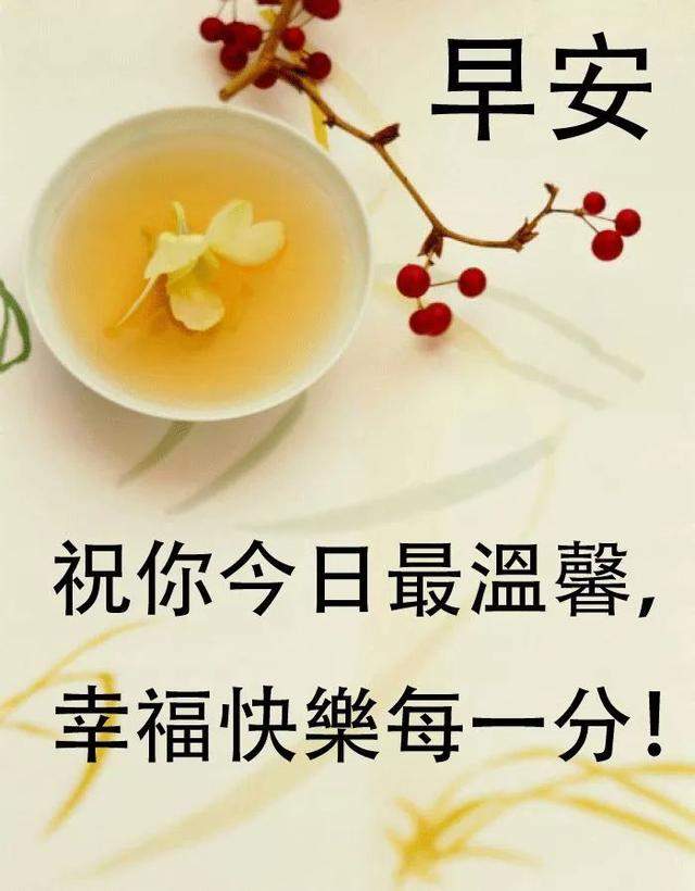 真心，要的是真诚；感情，要的是回应，早安