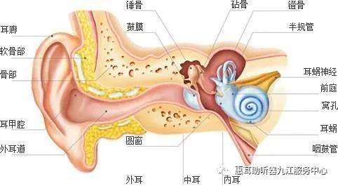 听力不好的您，知道自己的听损情况吗？