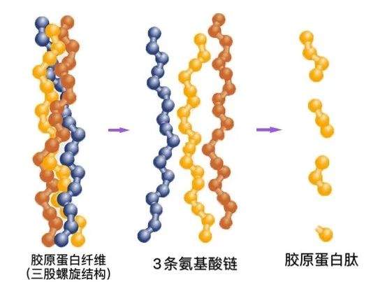 太A了！42岁陈数吊打女主，紧致轮廓我锁了！