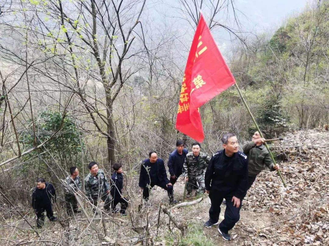 【春季禁毒】三河坝镇迎“禁种铲毒”之风，踏“绿色无毒”之地