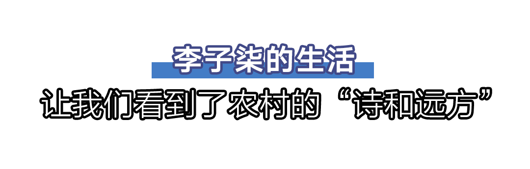 微博停更50天，李子柒怎么样了？