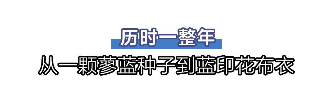 微博停更50天，李子柒怎么样了？