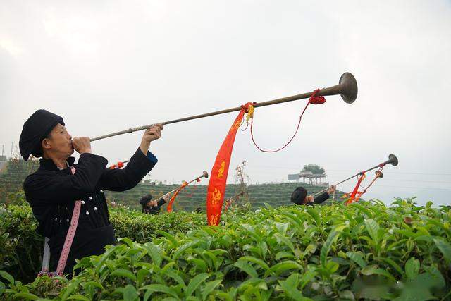 壮美凌云战疫情，云上展会促脱贫