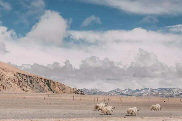 川藏线和滇藏线一起走，一路过去都是秀美的风景