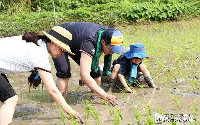 三平：中央发文，把劳动素养评价结果作为学校录取的重要参考或依据。