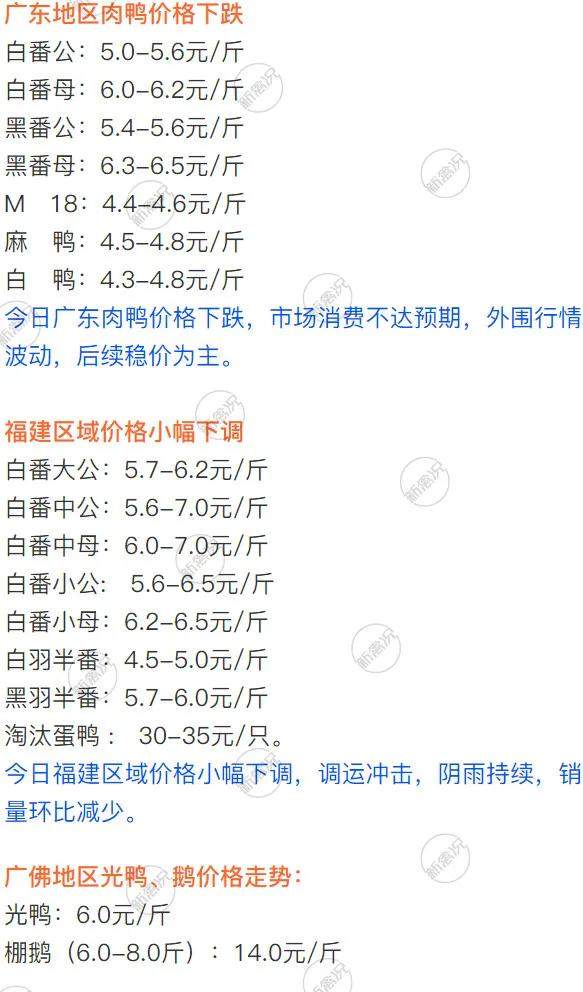 2020年03月30日鸭苗毛鸭，淘汰鸭番鸭/麻鸭种蛋价格