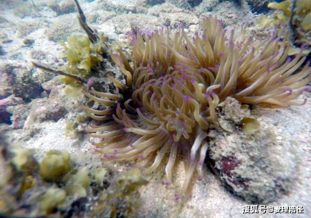 走！带你去深圳海底后花园《鬼湾岛》看看！