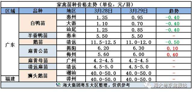 2020年03月30日鸭苗毛鸭，淘汰鸭番鸭/麻鸭种蛋价格