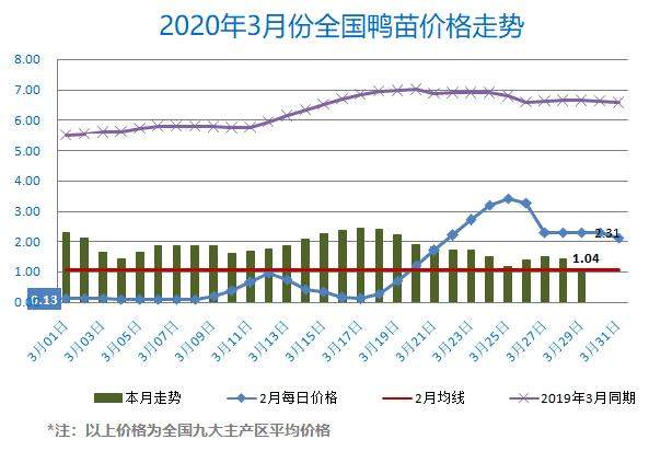 2020年03月30日鸭苗毛鸭，淘汰鸭番鸭/麻鸭种蛋价格