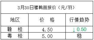 2020年03月30日鸭苗毛鸭，淘汰鸭番鸭/麻鸭种蛋价格