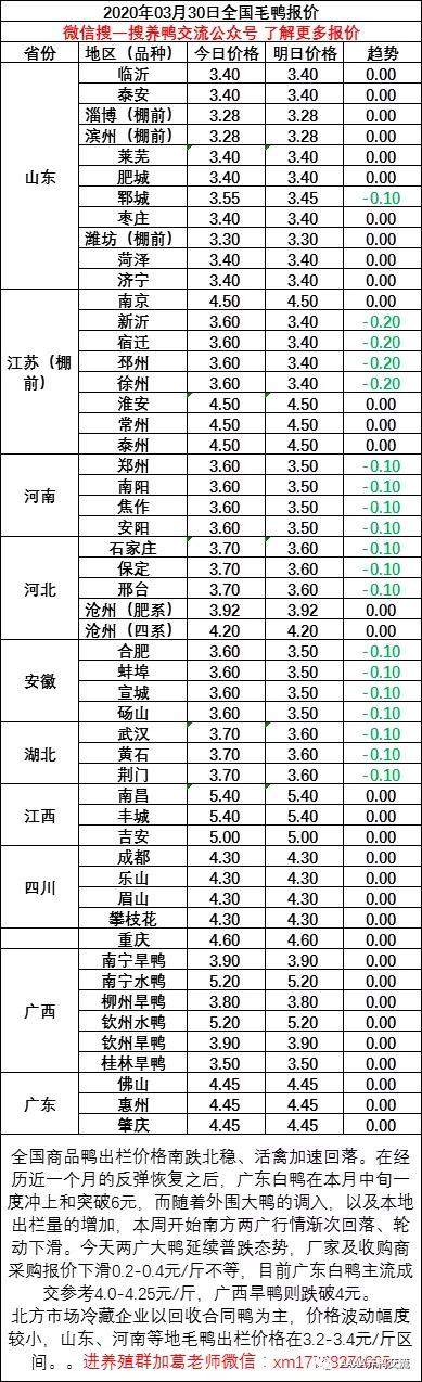 2020年03月30日鸭苗毛鸭，淘汰鸭番鸭/麻鸭种蛋价格