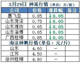 2020年03月30日鸭苗毛鸭，淘汰鸭番鸭/麻鸭种蛋价格