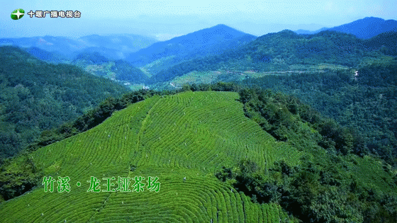 今天，鄂陕7地市电视台同时聚焦十堰！百万粉丝同屏探春！