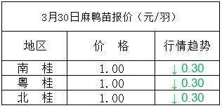 2020年03月30日鸭苗毛鸭，淘汰鸭番鸭/麻鸭种蛋价格