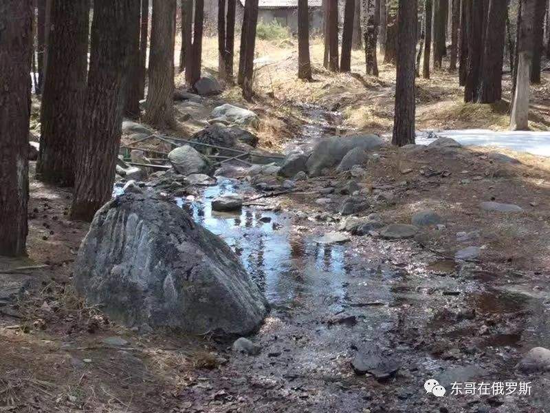 东哥在俄罗斯：专为记录小儿子在俄罗斯学习绘画和雕塑