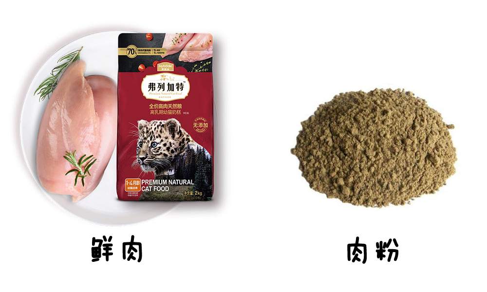 这款猫粮刷新了我的认知，弗列加特猫粮简单评测