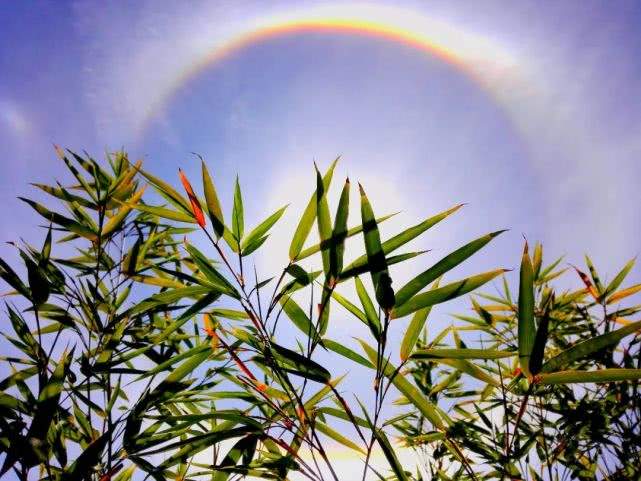 天现奇观！今天丽江惊现绝美日晕