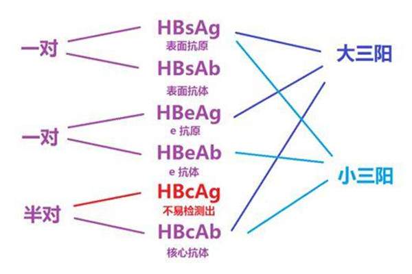 乙肝五项对照表是什么 大三阳小三阳的区别