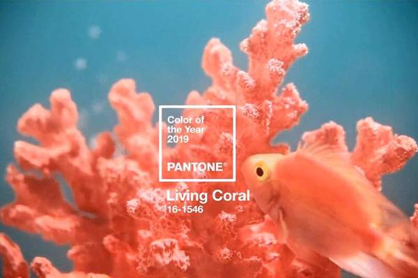 Pantone2019年度流行色珊瑚红 珊瑚红适合什么皮肤