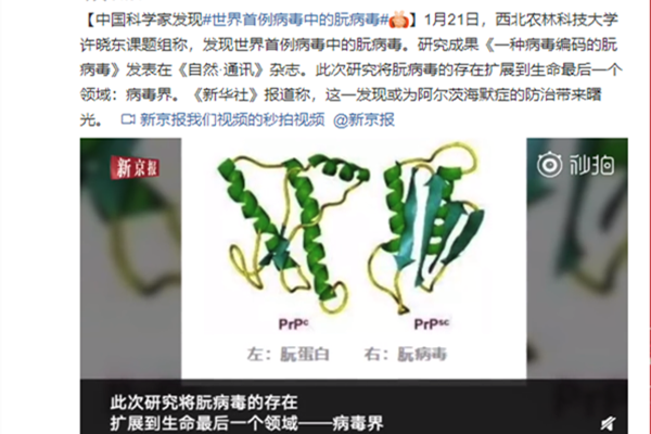 世界首例病毒中的朊病毒 或可防治老年痴呆症